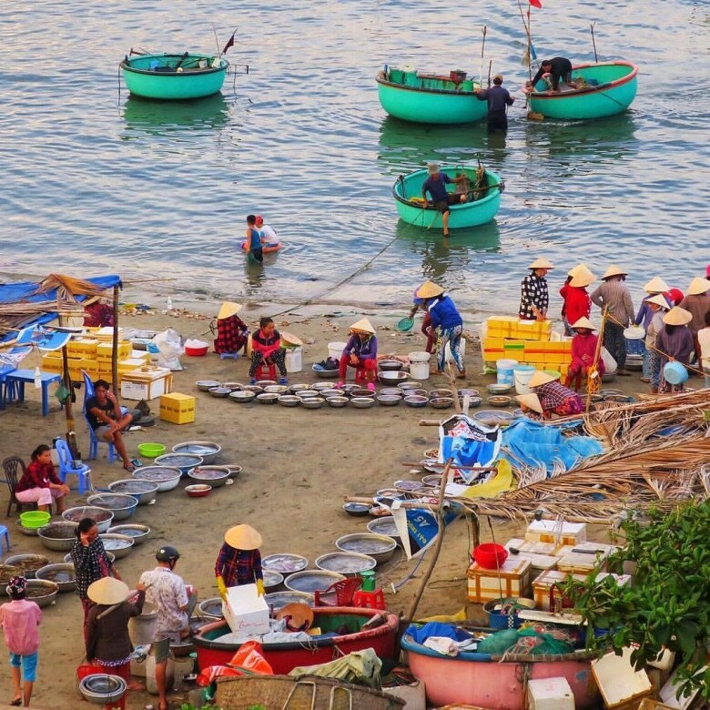 Chợ hải sản nổi tiếng nhất phan thiết mua hàng bằng thau chứ không tính cân khách tây khách ta đều mê - 3