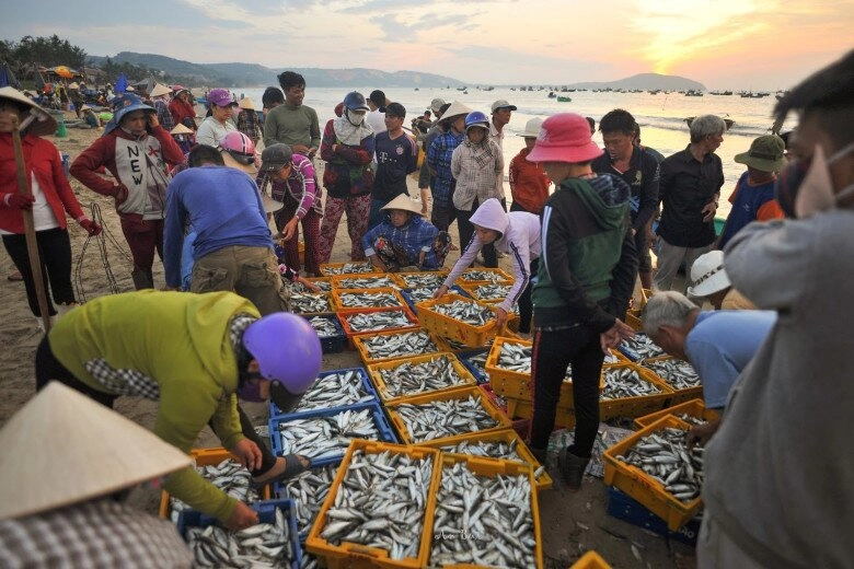 Chợ hải sản nổi tiếng nhất phan thiết mua hàng bằng thau chứ không tính cân khách tây khách ta đều mê - 5
