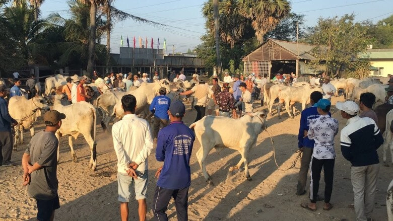 Chợ lạ ở an giang chỉ bán duy nhất một mặt hàng ban đầu chỉ là chợ tạm giờ thành trung tâm lớn bậc nhất - 2