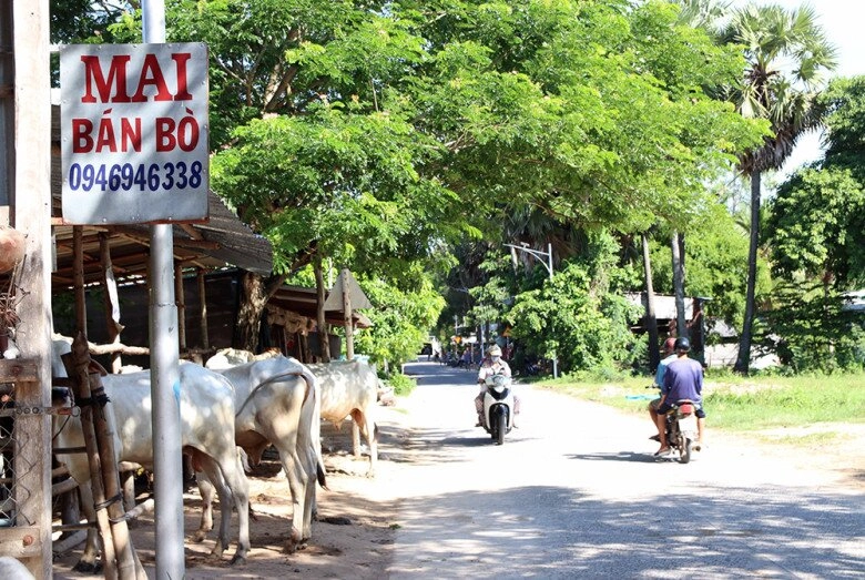 Chợ lạ ở an giang chỉ bán duy nhất một mặt hàng ban đầu chỉ là chợ tạm giờ thành trung tâm lớn bậc nhất - 4