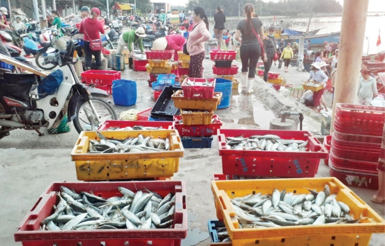 Chợ quê giữa lòng xứ huế hút khách nhờ giá cực rẻ có đến 3 phiên chợ một ngày bán đủ thứ bạn cần - 1