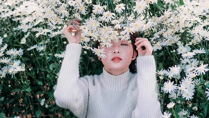 Chụp ảnh cùng cúc họa mi với 6 concept ngập tràn sắc trắng tinh khôi cả vườn hoa nằm trọn trong khung hình của bạn - 3