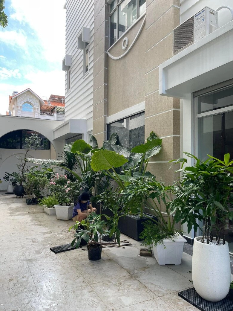 Con gái vân trang trồng cây trong biệt thự nghìn m2 khoe khu vườn xanh mướt khiến khán giả ngưỡng mộ - 15