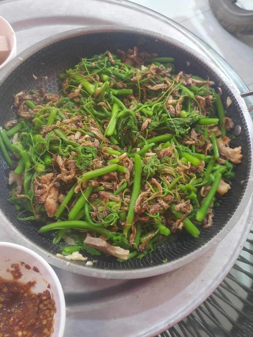 Côn trùng lạ được ví như đặc sản trời ban ở hà nội khách khen ngon hơn tôm - 6