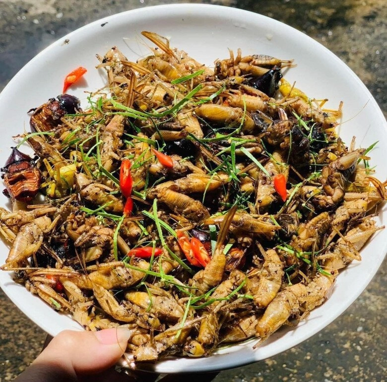 Côn trùng phá hại mùa màng giờ mệnh danh là tôm bay vị ngon hơn thịt gà chị em lùng mua bằng được - 3