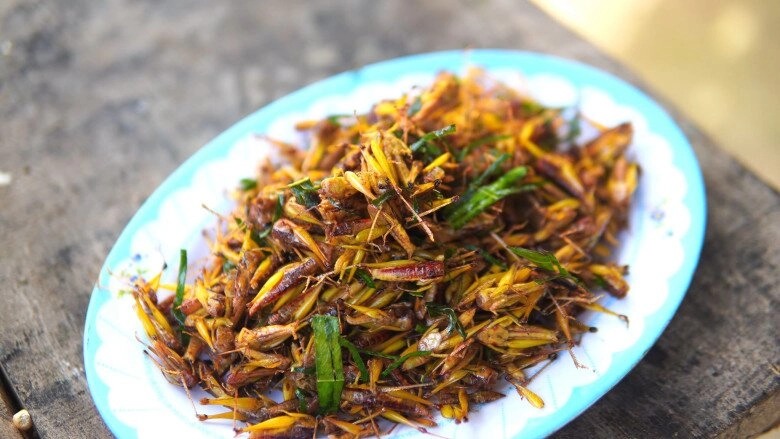 Côn trùng phá hại mùa màng giờ mệnh danh là tôm bay vị ngon hơn thịt gà chị em lùng mua bằng được - 4
