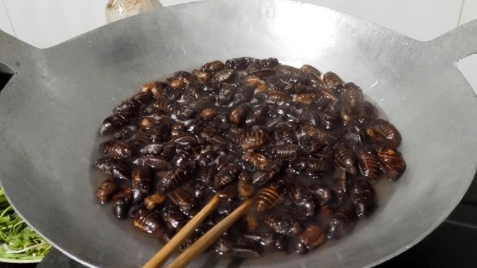 Con vật khiến nhiều người sợ chết khiếp là đặc sản gây nghiện của an giang xưa chỉ người nghèo ăn nay ai cũng lùng mua - 3