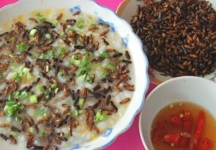 Con vật nhìn rợn gai ốc nhiều người xua đuổi lại là đặc sản của người quảng nam mang hương vị của lòng hiếu thảo - 4