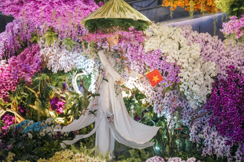 Đặc sắc không gian festival hoa lan tphcm - 6