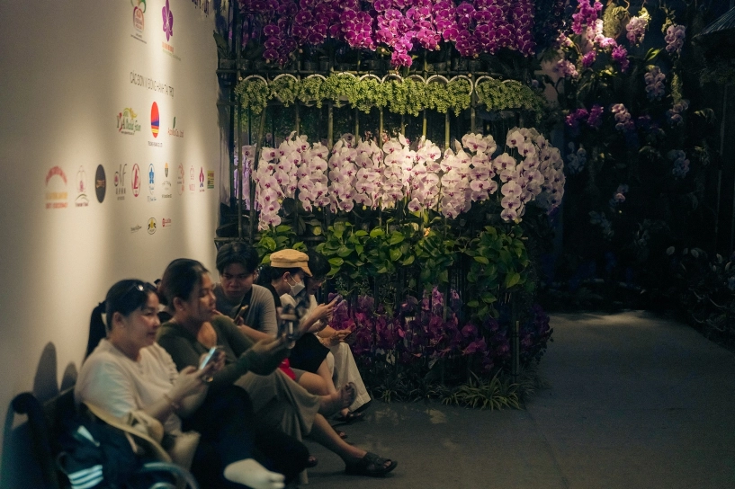 Đặc sắc không gian festival hoa lan tphcm - 8