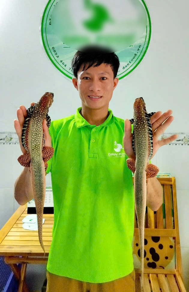 Đặc sản 4 chân đuôi dài thượt ở bình thuận thịt săn chắc ngọt thơm hơn thịt gà - 2