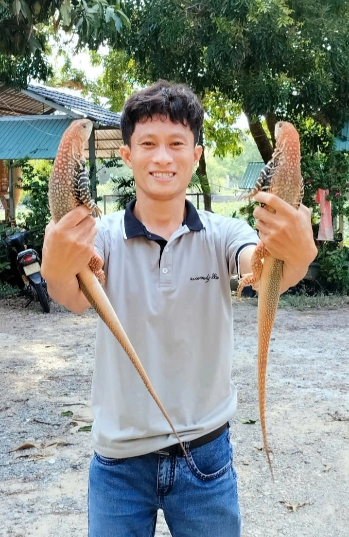 Đặc sản 4 chân đuôi dài thượt ở bình thuận thịt săn chắc ngọt thơm hơn thịt gà - 3