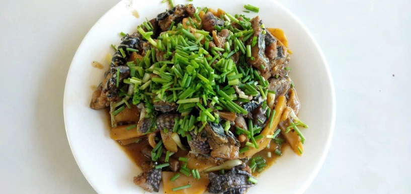 Đặc sản 4 chân đuôi dài thượt ở bình thuận thịt săn chắc ngọt thơm hơn thịt gà - 6