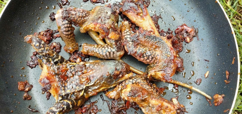 Đặc sản 4 chân đuôi dài thượt ở bình thuận thịt săn chắc ngọt thơm hơn thịt gà - 7