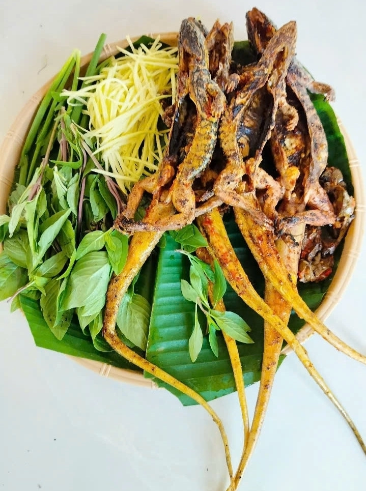 Đặc sản 4 chân đuôi dài thượt ở bình thuận thịt săn chắc ngọt thơm hơn thịt gà - 9