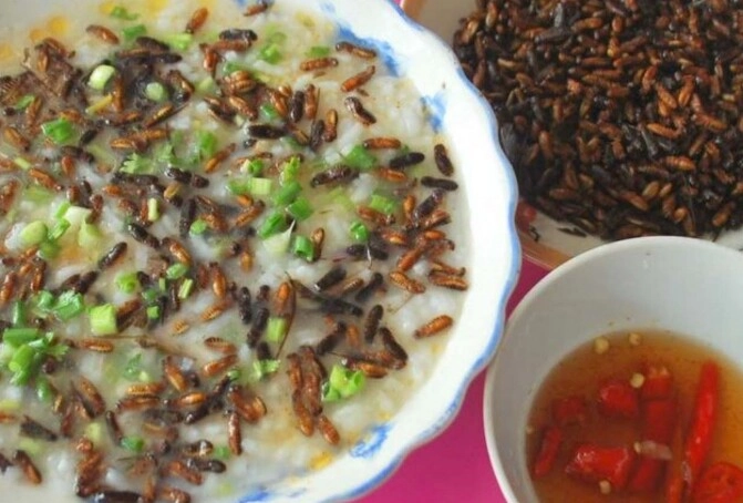 Đặc sản chỉ có ở quảng nam nhìn sợ khiếp vía xưa không ai ăn nay được ưa chuộng trong nhà hàng hương vị đặc biệt - 3