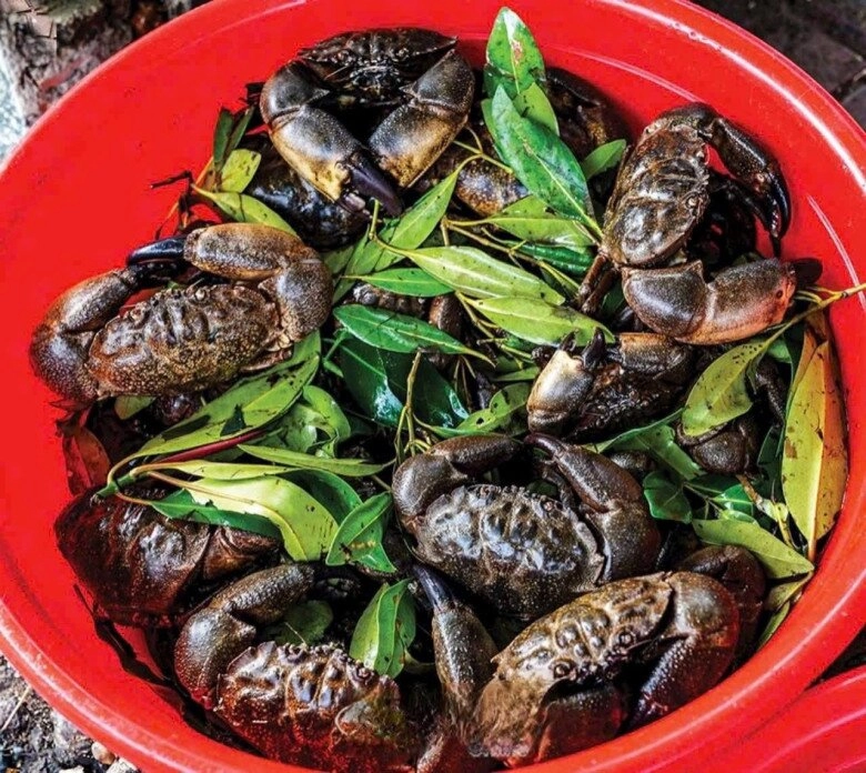 Đặc sản chỉ có ở quảng ninh nghe tên kỳ cục xưa không ai biết đến nay được ưa chuộng khắp nơi hương vị lạ - 3