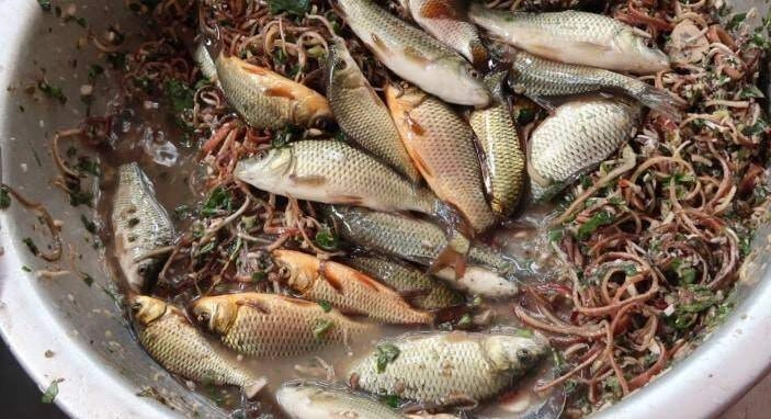 Đặc sản chỉ có ở sơn la nhảy tanh tách trong cổ họng nhiều người khiếp sợ nhưng là món chỉ dùng đãi khách quý - 2
