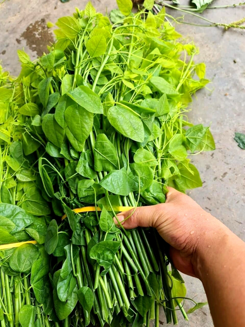Đặc sản có tên bốc mùi ở bắc kạn khách sành ăn mua vài cân cho bõ thèm - 2
