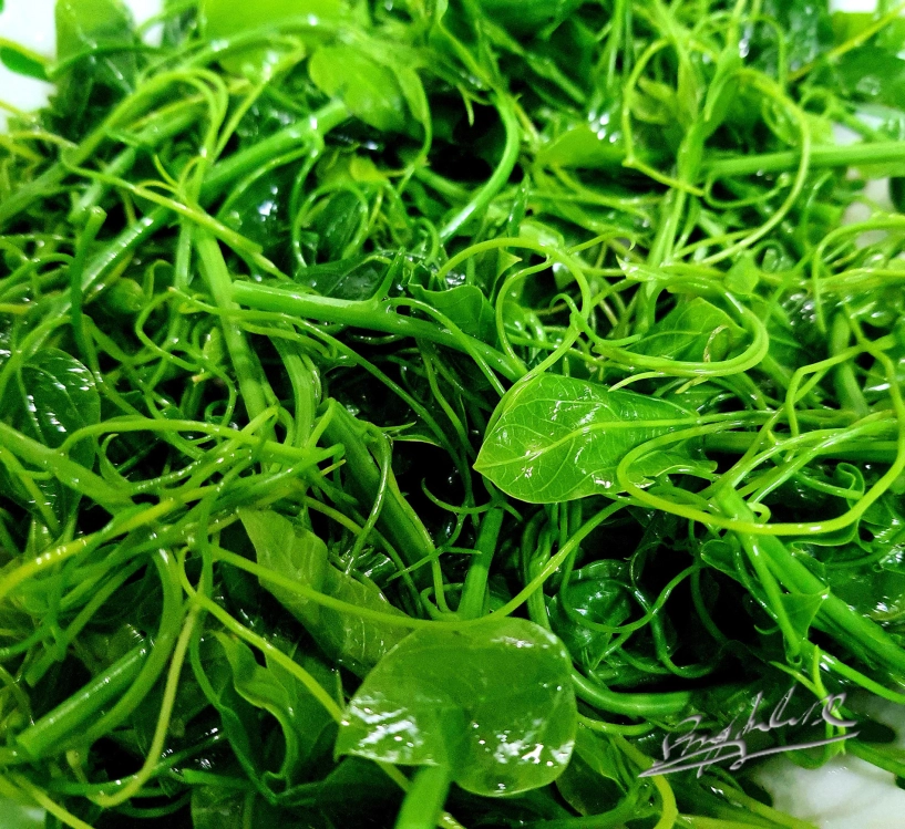 Đặc sản có tên bốc mùi ở bắc kạn khách sành ăn mua vài cân cho bõ thèm - 4