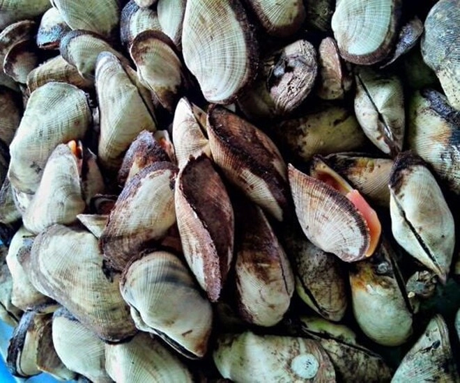 Đặc sản có tên rất lạ mỗi năm chỉ có một mùa nay thành món khoái khẩu được người thành phố ưa chuộng vì hương vị đặc biệt - 1