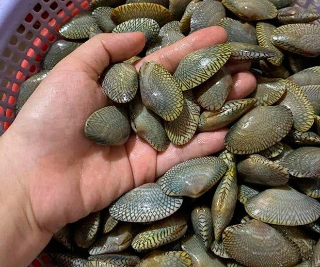 Đặc sản có tên vô cùng lạ mỗi năm chỉ có một mùa nay dân thành phố ưa chuộng vì hương vị đặc biệt - 1