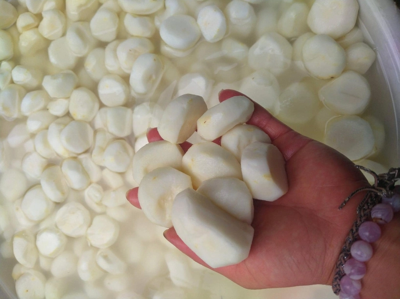 Đặc sản dưới lòng đất có từ nam ra bắc ăn giòn mát nấu canh càng ngọt thơm - 3