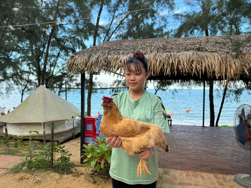 Đặc sản gà mọc râu trên đảo hoang sơ ở quảng ninh da vàng giòn thịt thơm nức - 3