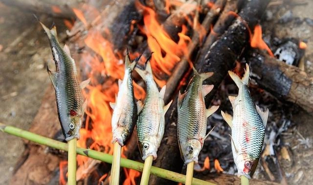 Đặc sản nghệ an sống ở khe đá xưa rẻ như cho nay thành đặc sản khoái khẩu giá đắt đỏ dân thành phố ưa chuộng - 3
