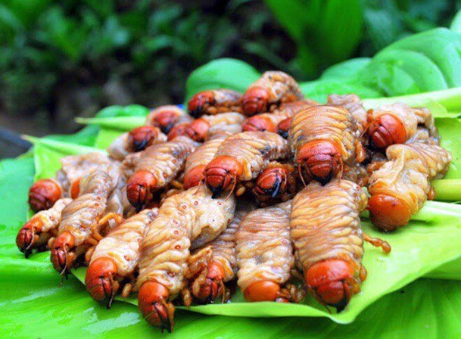 Đặc sản nhìn sợ khiếp vía xưa không ai dám ăn nay thành món khoái khẩu của người thành phố hương vị đặc biệt - 2