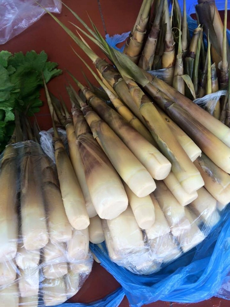 Đặc sản nổi tiếng tên vô cùng lạ mỗi năm chỉ có một mùa dân thành phố ưa chuộng vì hương vị đặc biệt - 1
