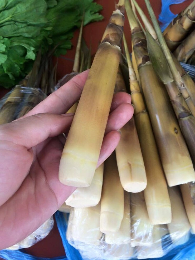 Đặc sản nổi tiếng tên vô cùng lạ mỗi năm chỉ có một mùa dân thành phố ưa chuộng vì hương vị đặc biệt - 2
