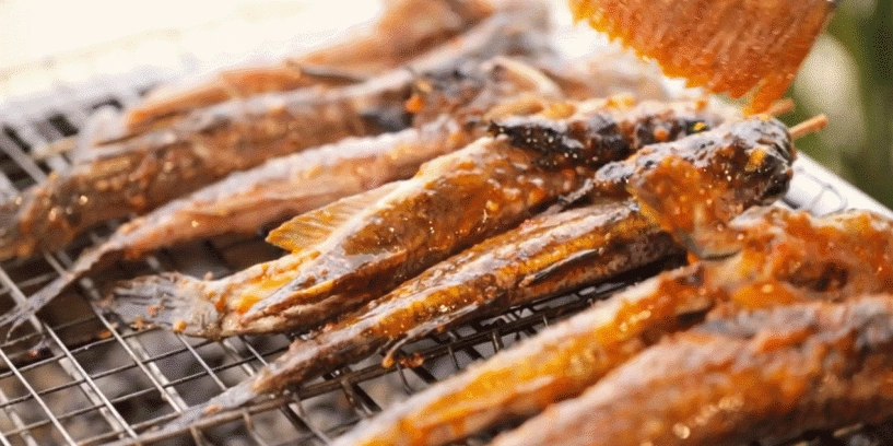 Đặc sản ở miền tây có vẻ ngoài kỳ lạ nhất hành tinh biết chạy nhảy và leo cây - 1