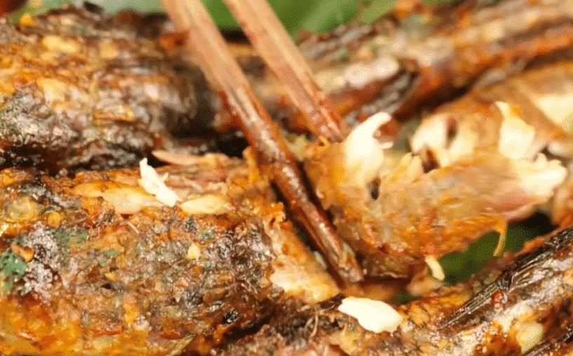 Đặc sản ở miền tây có vẻ ngoài kỳ lạ nhất hành tinh biết chạy nhảy và leo cây - 5