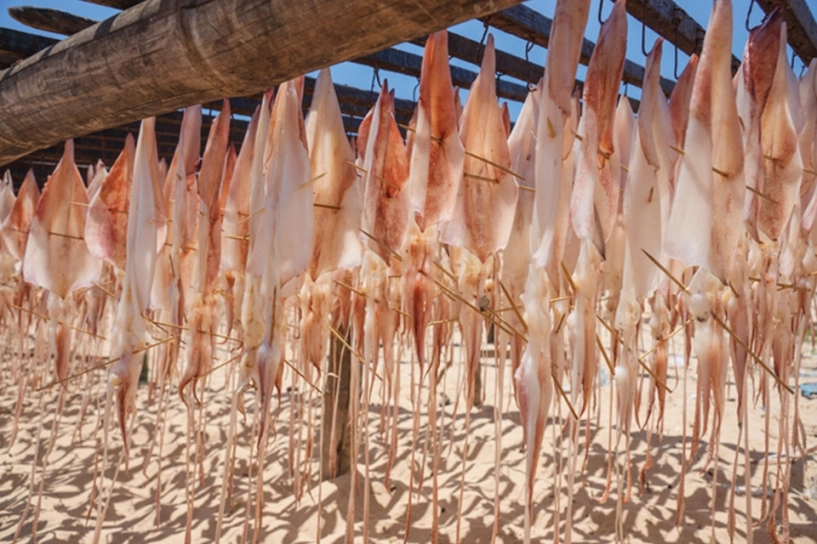 Đặc sản phan thiết lọt top những món ăn từ mực ngon nhất thế giới - 1