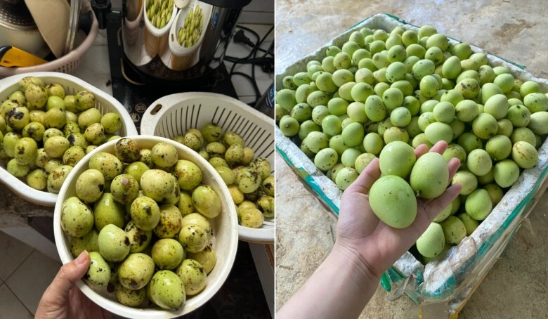 Đặc sản sơn la vị như xoài dân chờ rụng mới nhặt làm bánh tráng ngọt thơm - 1