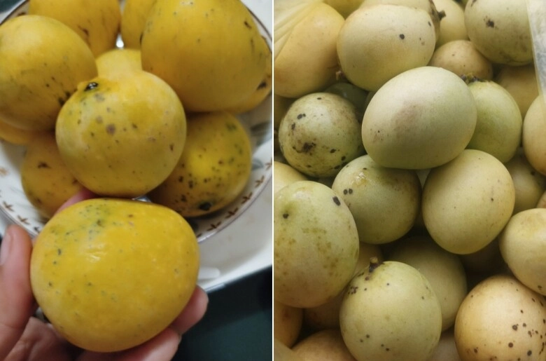 Đặc sản sơn la vị như xoài dân chờ rụng mới nhặt làm bánh tráng ngọt thơm - 2