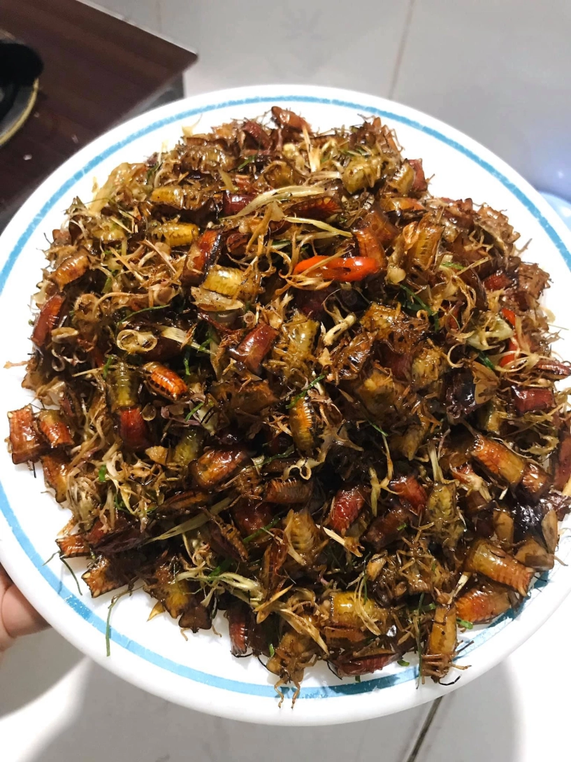 Đặc sản tây bắc chế biến từ loài côn trùng khách sợ xanh mặt ăn lại khen ngon - 4