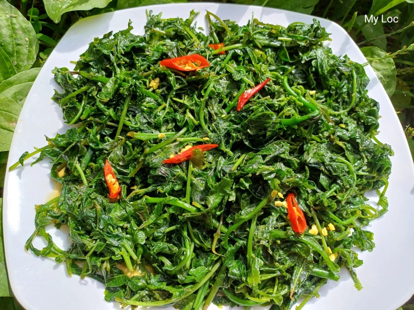 Đặc sản trời ban ở miền bắc càng hái càng mọc ăn ngon lại tốt cho sức khỏe - 6