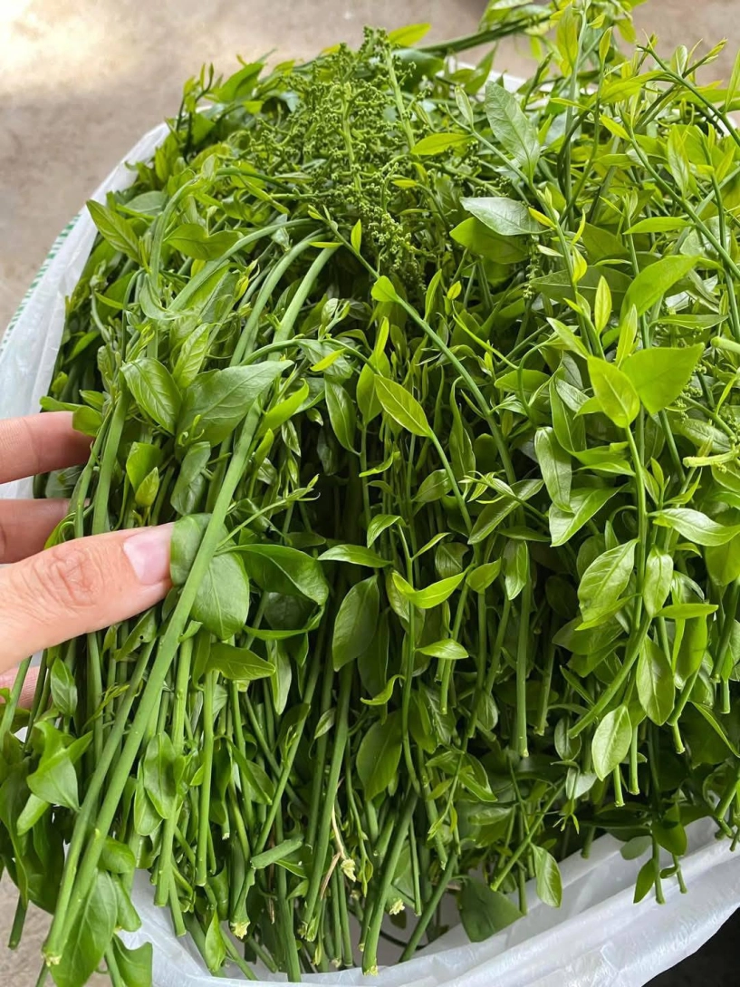 Đặc sản trời ban ở miền bắc vừa ngon vừa bổ ăn ngọt như nước ninh xương - 1