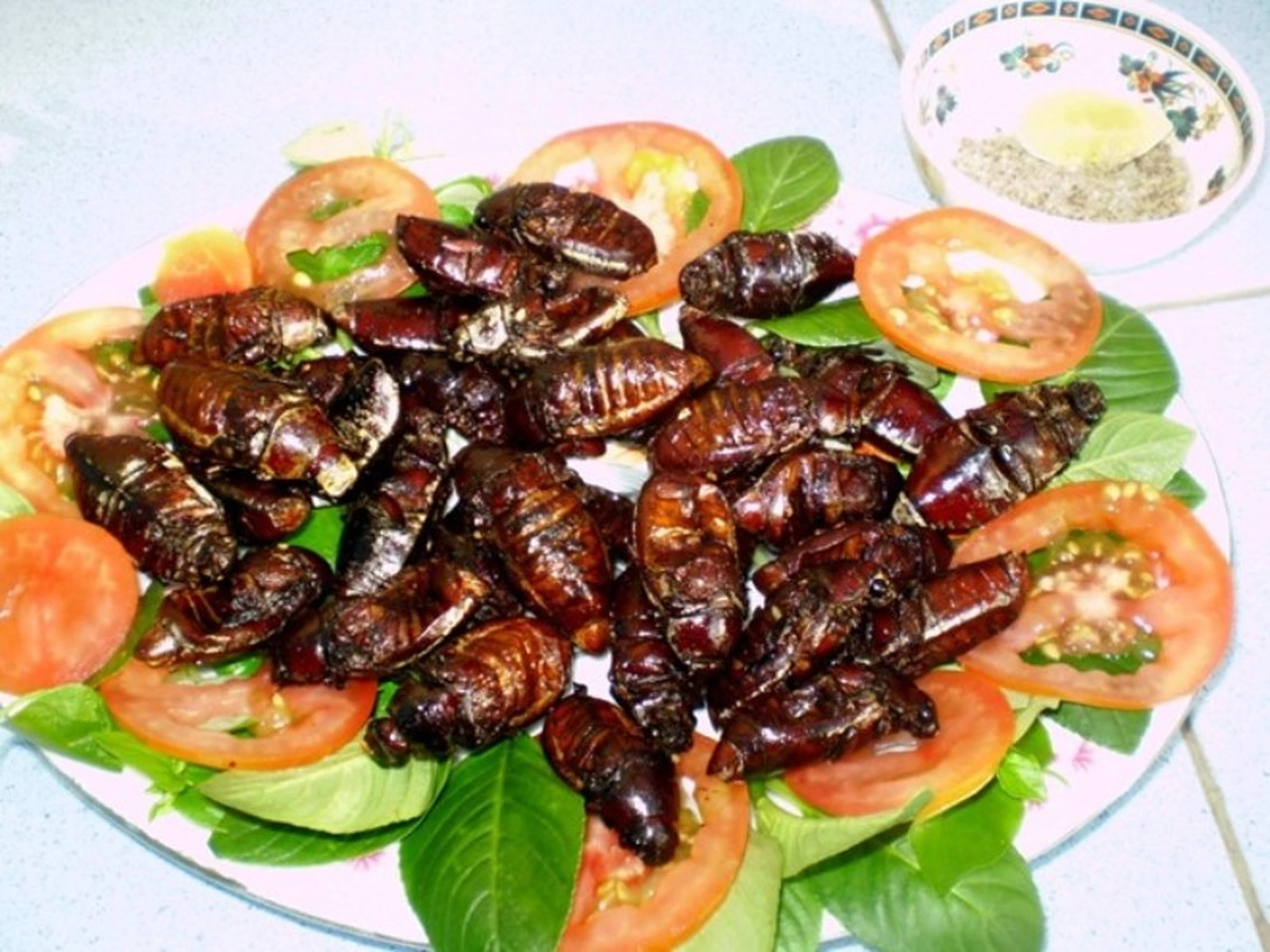 đặc sản từ lòng đất chỉ có vào mùa mưa nhìn thôi đã khiếp sợ nay khiến thực khách tò mò giá 300000 đồngkg - 3