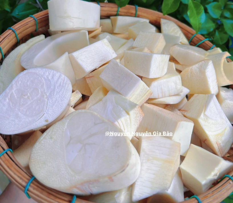 Đặc sản xa xỉ trắng nõn nà đốn cả cây cao hàng mét mới thu được vài kg - 2