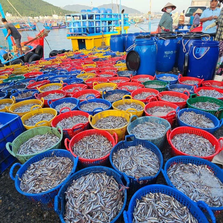 Dân địa phương mách bạn khu chợ bán hải sản cực rẻ ở nha trang đảm bảo tươi ngon vừa đánh bắt từ biển lên - 3