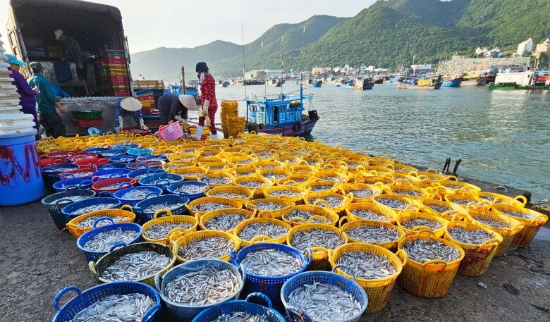 Dân địa phương mách bạn khu chợ bán hải sản cực rẻ ở nha trang đảm bảo tươi ngon vừa đánh bắt từ biển lên - 4