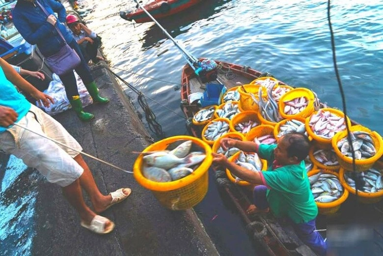 Dân địa phương mách bạn khu chợ hải sản rẻ nhất phú quốc không phải ai cũng biết - 2