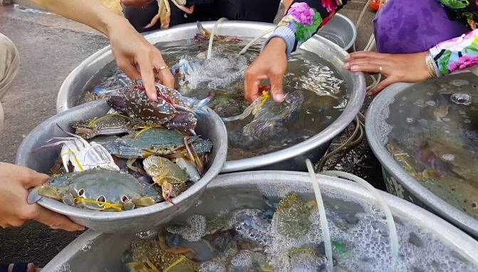 Dân địa phương mách bạn khu chợ mua hải sản rẻ nhất vũng tàu ai đến cũng mê không muốn về - 4