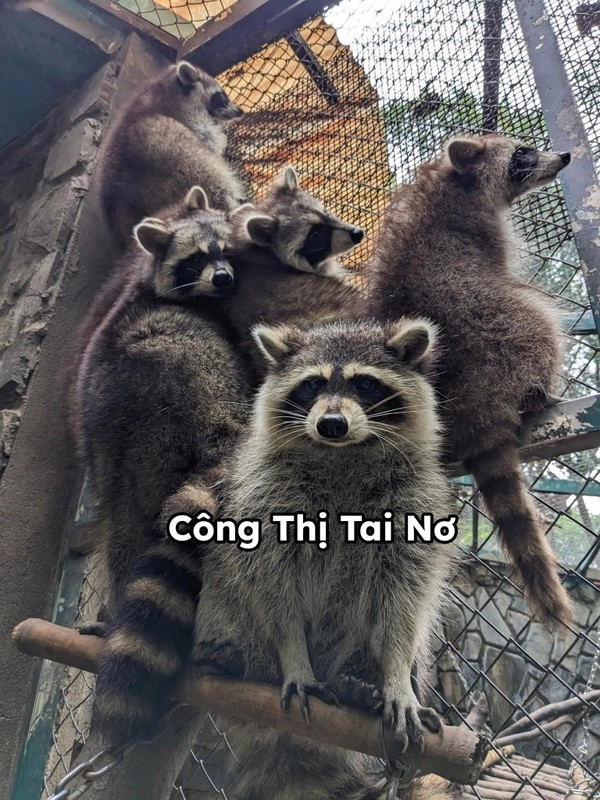 Dàn idol giới trẻ với những cái tên độc lạ ở thảo cầm viên - 6