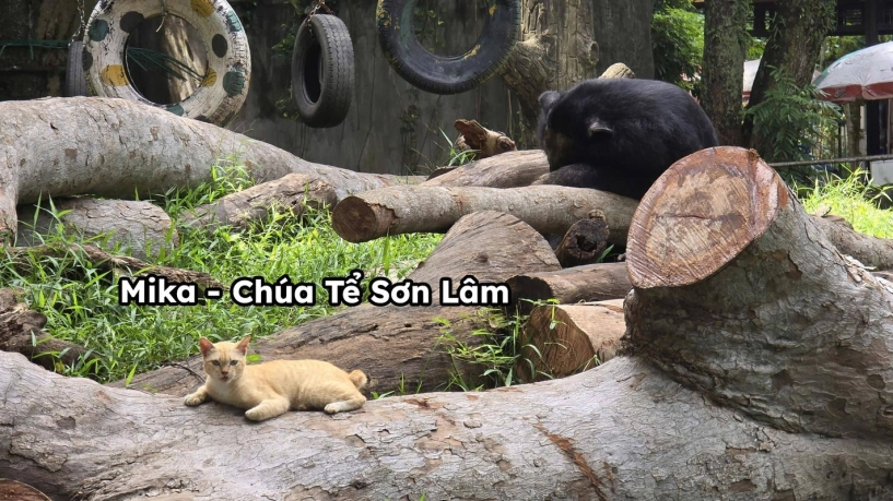 Dàn idol giới trẻ với những cái tên độc lạ ở thảo cầm viên - 8