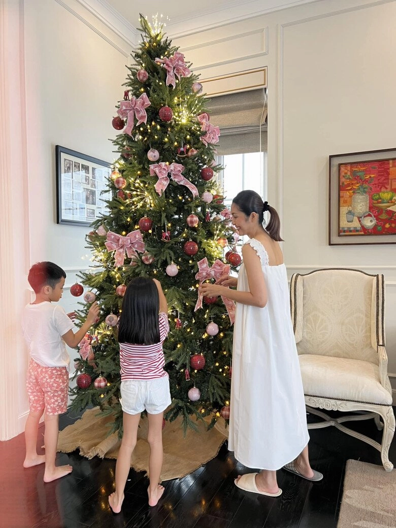 Dàn mỹ nhân họ tăng của vbiz người làm dâu hào môn người sinh con cho bạn đời hơn 37 tuổi - 5