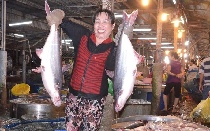 Dậy từ 3h đi khu chợ hải sản đêm sầm uất nhất lý sơn đủ loại hải sản xịn xò với giá rẻ chưa từng thấy - 2